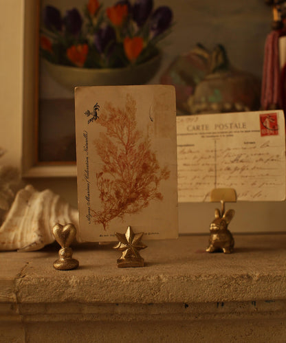 Oda Star Brass Card Holder